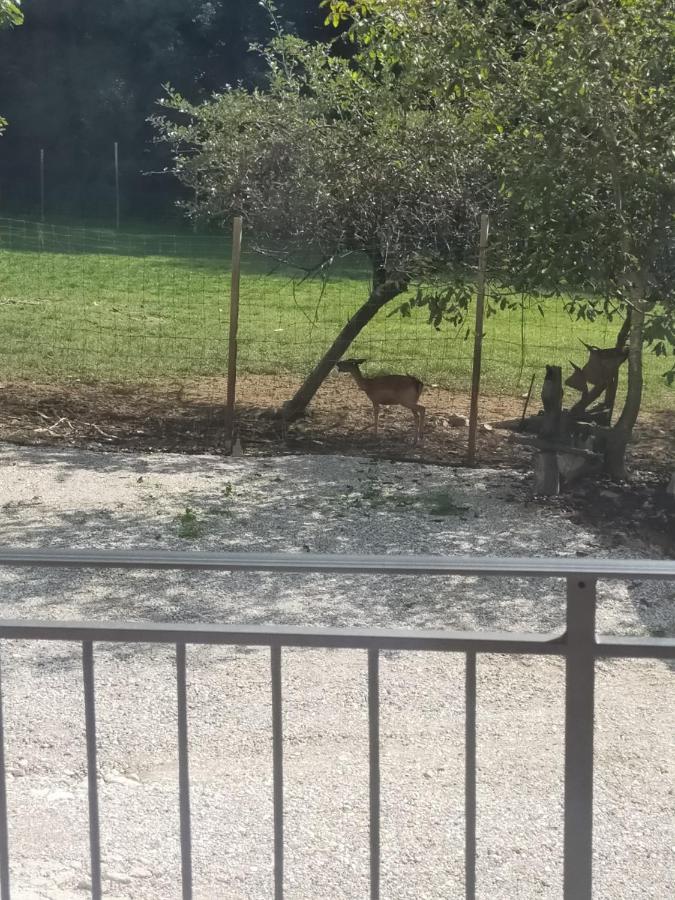 Alloggio E Agriturismo De Poanute Faedis エクステリア 写真
